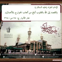 شهادات الأئمة 